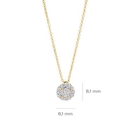 Blush Blush Lab Grown Diamonds Collier 14k geelgoud met Lab grown diamant LG3010Y