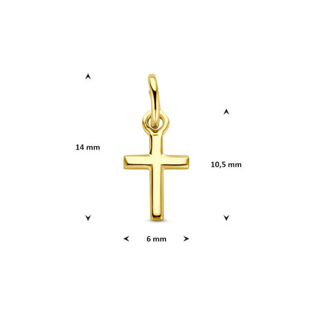 HuisCollectie HuisCollectie Hanger 14k geelgoud 616509