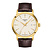 Tissot TISSOT Classic Dream Quartz 42mm T129.410.36.261.00