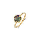 Blush Blush Ring 14k geelgoud met Parelmoer 1280YBQ