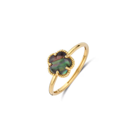 Blush Blush Ring 14k geelgoud met Parelmoer 1280YBQ