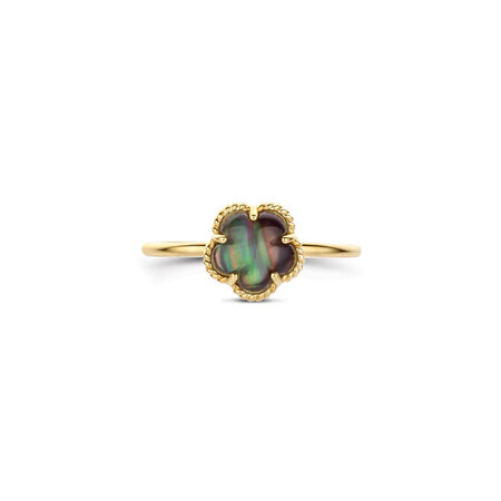 Blush Blush Ring 14k geelgoud met Parelmoer 1280YBQ