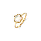Blush Blush Ring 14k geelgoud met Parelmoer 1281YMQ