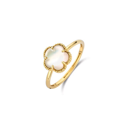 Blush Blush Ring 14k geelgoud met Parelmoer 1281YMQ