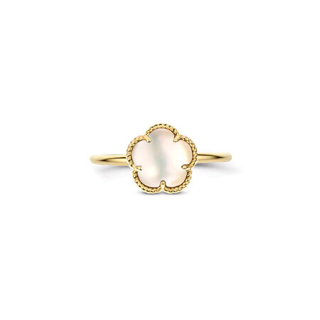 Blush Blush Ring 14k geelgoud met Parelmoer 1281YMQ