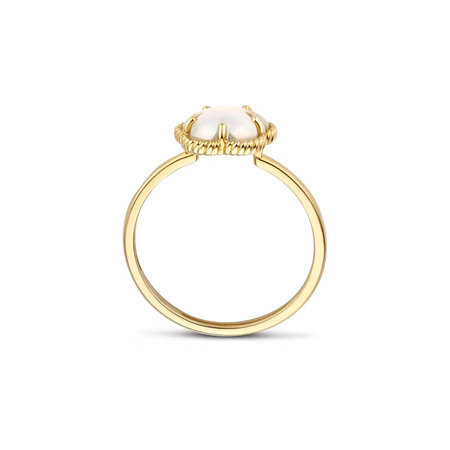 Blush Blush Ring 14k geelgoud met Parelmoer 1281YMQ