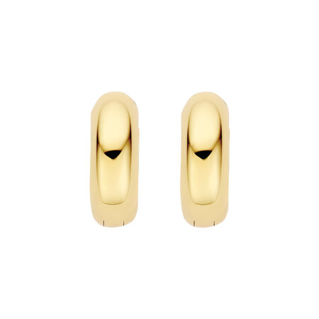 Blush Creolen 14k geelgoud 7388YGO