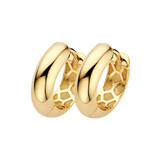  Blush Creolen 14k geelgoud 7389YGO