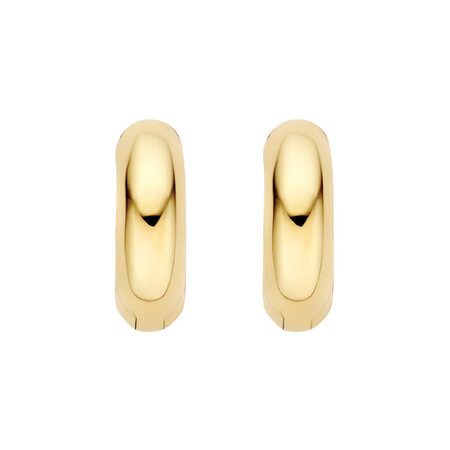 Blush Creolen 14k geelgoud 7389YGO