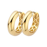 Blush Blush Creolen 14k geelgoud 7390YGO