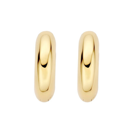 Blush Blush Creolen 14k geelgoud 7390YGO