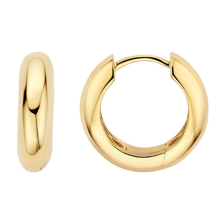 Blush Blush Creolen 14k geelgoud 7390YGO