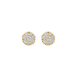 Blush Blush Oorstekers 14k geelgoud met zirkonia 7396YZI