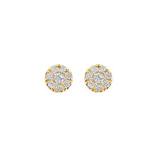 Blush Blush Oorstekers 14k geelgoud met zirkonia 7396YZI