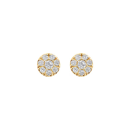 Blush Blush Oorstekers 14k geelgoud met zirkonia 7396YZI