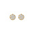 Blush Blush Oorstekers 14k geelgoud met zirkonia 7396YZI