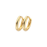 Blush Blush Creolen 14k geelgoud 7398YGO