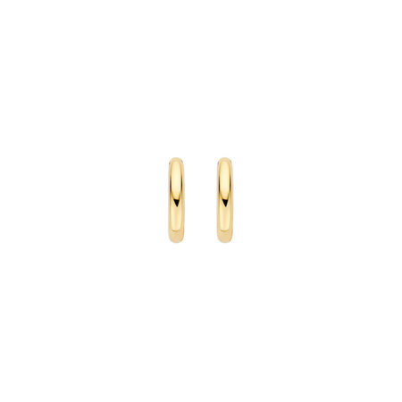 Blush Blush Creolen 14k geelgoud 7398YGO
