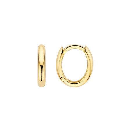 Blush Blush Creolen 14k geelgoud 7398YGO