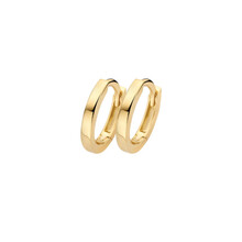 Blush Blush Creolen 14k geelgoud 7399YGO