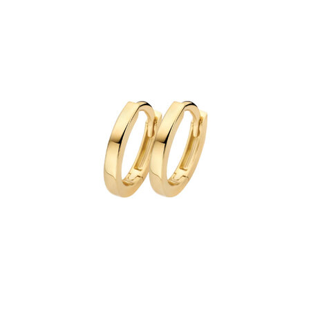 Blush Blush Creolen 14k geelgoud 7399YGO