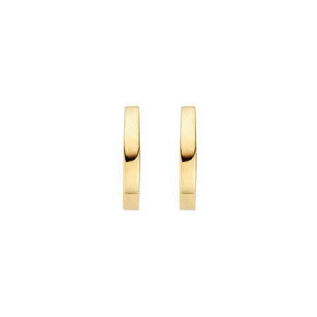 Blush Blush Creolen 14k geelgoud 7399YGO