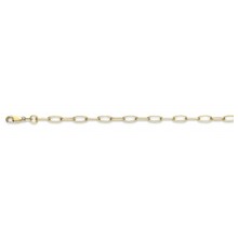 Fjory Fjory Armband 14k geelgoud 3.5mm 40-ANK03,519