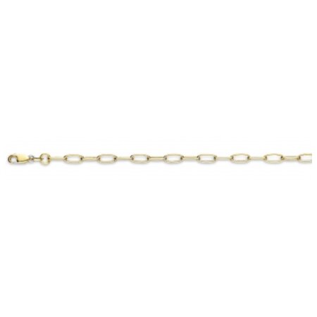 Fjory Fjory Armband 14k geelgoud 3.5mm 40-ANK03,519
