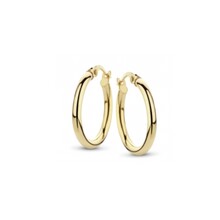 Fjory Fjory Creolen 14k geelgoud 40-ORD15