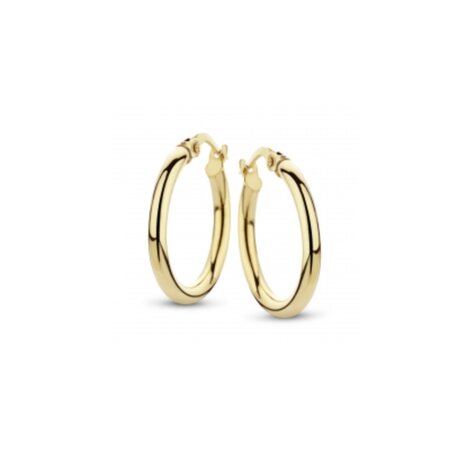 Fjory Fjory Creolen 14k geelgoud 40-ORD15
