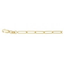 Fjory Fjory Armband 14k geelgoud 3.6mm 40/25-CFER12,519