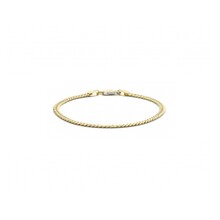 Fjory Fjory Armband 14k geelgoud 3.7mm 40-GP03,719