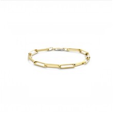 Fjory Fjory Armband 14k geelgoud 4.3mm 40/25-CFEP01719