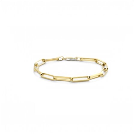 Fjory Fjory Armband 14k geelgoud 4.3mm 40/25-CFEP01719