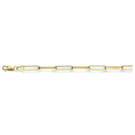 Fjory Fjory Armband 14k geelgoud 4.3mm 40/25-CFEP01719