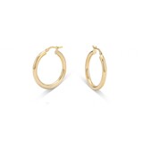 HuisCollectie HuisCollectie Creolen 14k geelgoud 611912