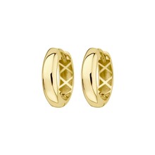 HuisCollectie HuisCollectie Creolen 14k geelgoud 616866
