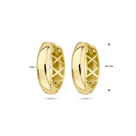 HuisCollectie HuisCollectie Creolen 14k geelgoud 616866
