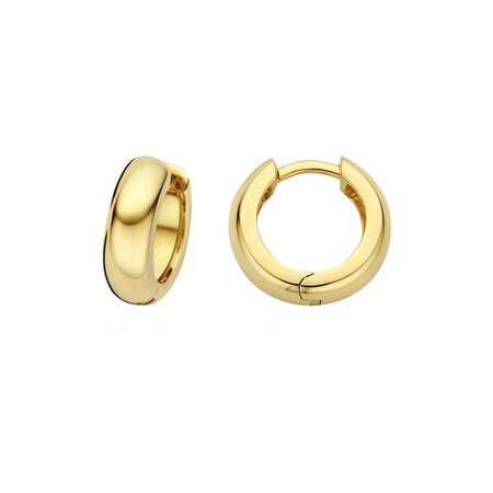 HuisCollectie HuisCollectie Creolen 14k geelgoud 15024