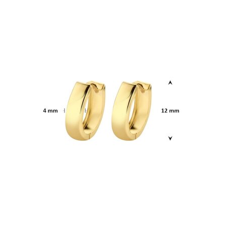 HuisCollectie HuisCollectie creolen 14k geelgoud 615884