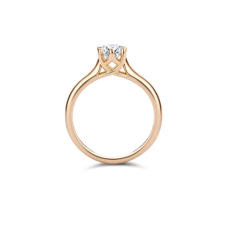 R&C R&C Ring Royale 14k Geelgoud met diamant RIN2130-S-GG-0,20PW-55