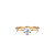 R&C R&C Ring Royale 14k Geelgoud met diamant RIN2130-S-GG-0,20PW-55