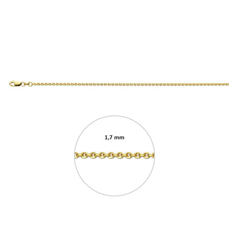 HuisCollectie HuisCollectie Collier 14k geelgoud Anker 1.7mm 616943