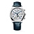 Longines LONGINES Master Chrono Moonphase automatic 42mm L2.962.4.73.2