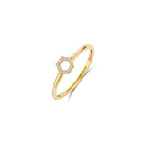 Blush Blush Ring 14k geelgoud met zirkonia 1287YZI