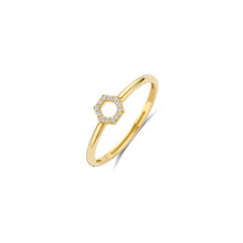 Blush Blush Ring 14k geelgoud met zirkonia 1287YZI