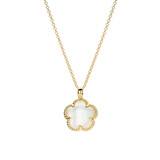 Blush Blush Collier 14k geelgoud met Parelmoer 3209YMQ