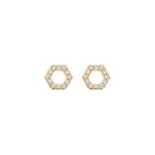 Blush Blush Oorstekers 14k geelgoud met zirkonia 7401YZI