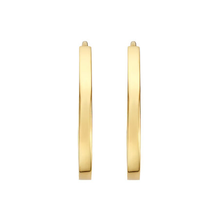 Blush Blush Creolen 14k geelgoud 7402YGO