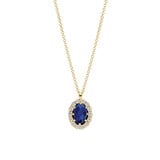 Blush Blush Lab Diamonds Collier 14k geelgoud met Lab Grown saffier en diamant LG3021Y